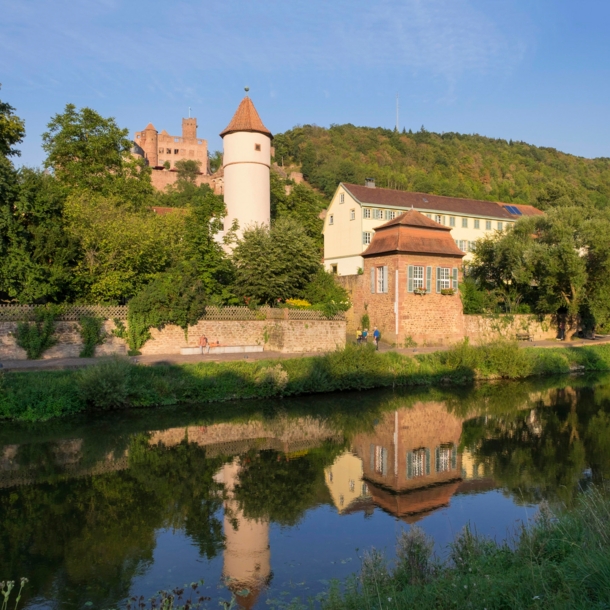 Blick über die Tauber auf die Stadt Wertheim mit Burgruine