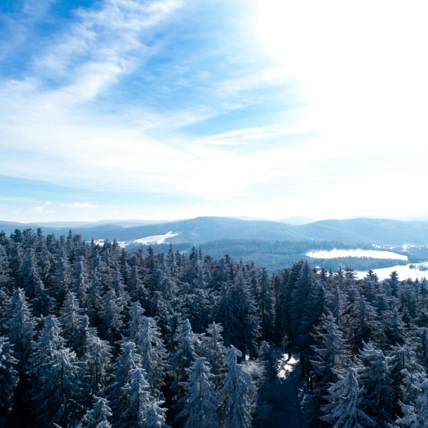 Blick über schneebedeckte Wälder und Berge