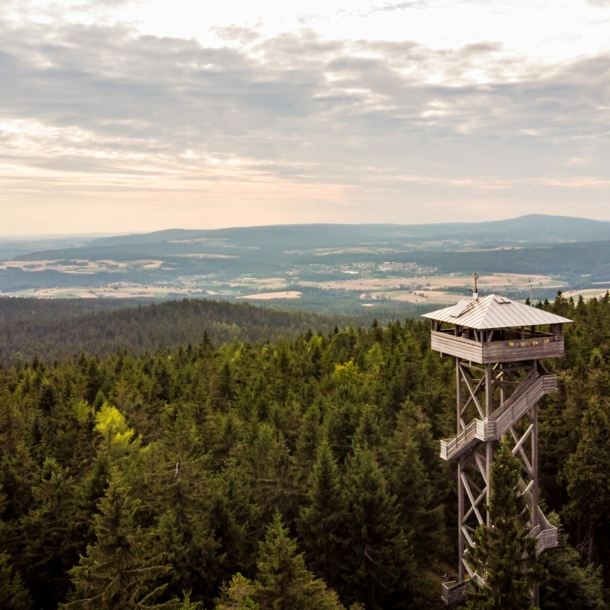 Aussichtsturm inmitten eines Waldes