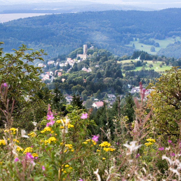 Die Burg Reifenberg aus der Ferne.