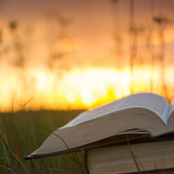 Bücher im Gras vor Sonnenaufgang