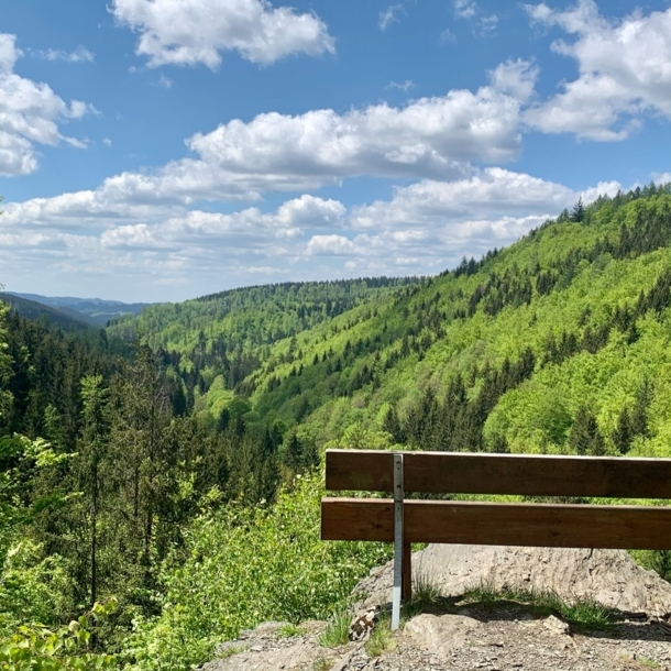 Eine Bank an einem Aussichtspunkt mit Blick auf Berge und Wald