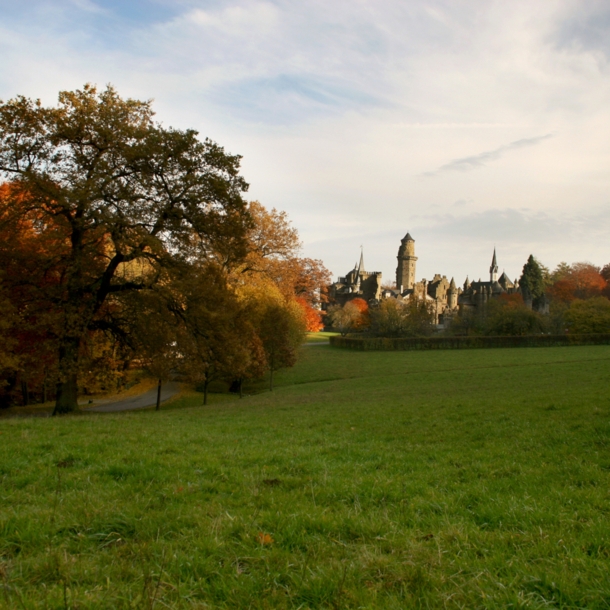 Ein Park, im Hintergrund eine Burg