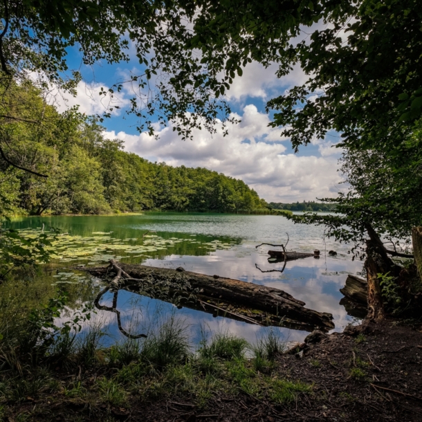 Der Schermützelsee in der Märkischen Schweiz