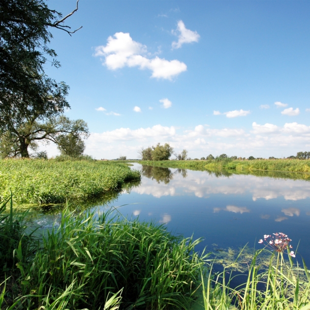 Ein von Wiesen und Bäumen umgebener Fluss