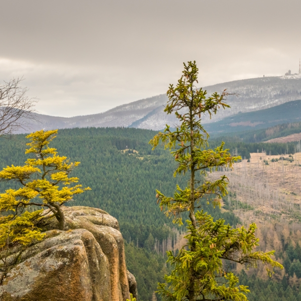 Blick auf den Brocken im Harz.