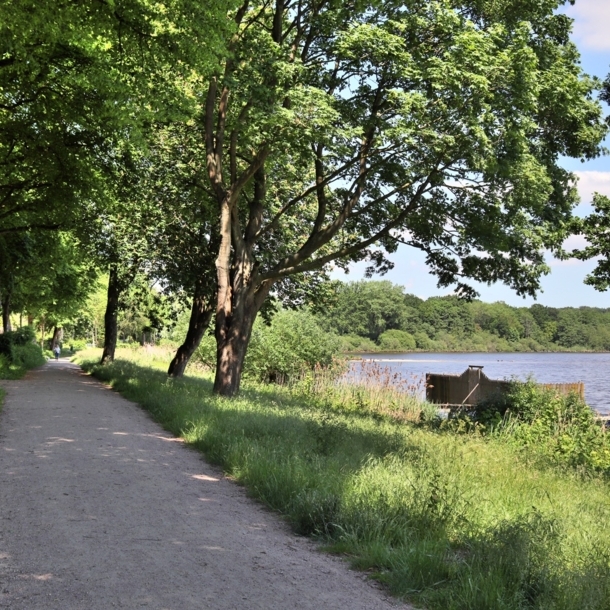 Ein malerischer Weg an einem See