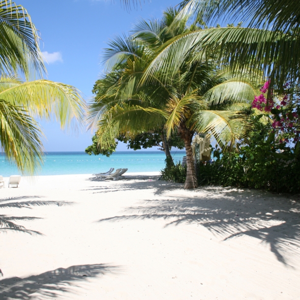 Ein weißer Strand mit Palmen und türkisfarbenen Meer im Hintergrund