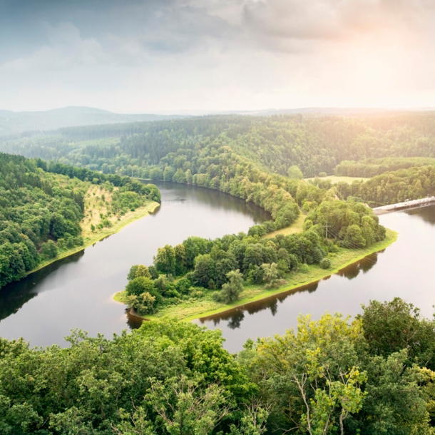 Ein Fluss aus der Vogelperspektive, der sich durch eine Waldlandschaft schlängelt