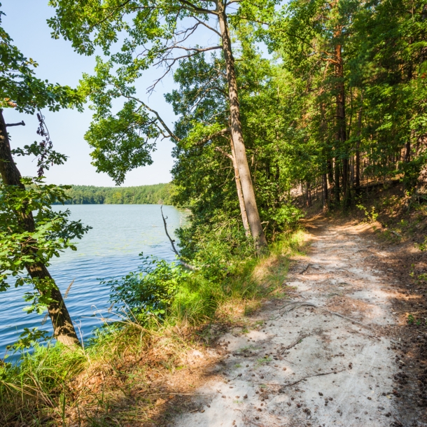 Sandiger Wanderweg neben einem Gewässer.