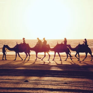 Seitenansicht einer Kamelkarawane im Sonnenuntergang am Meer