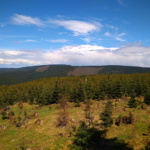 Blick über den Thüringer Wald