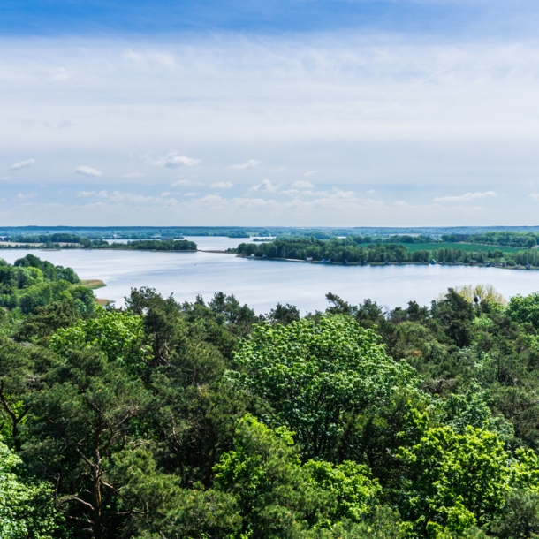 Blick von oben über ein Naturgebiet mit großem Seenanteil.