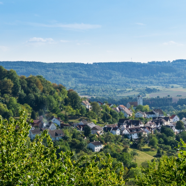 Blick über eine sommerliche Landschaft mit Dorf