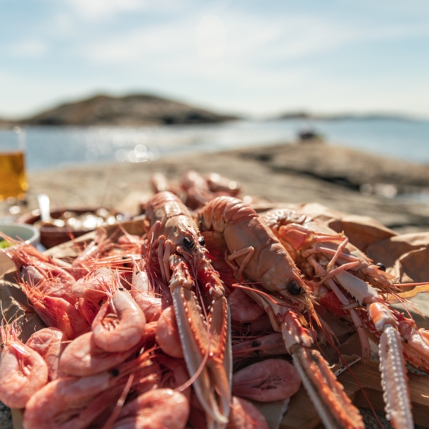 Scampi und Garnelen am Meer