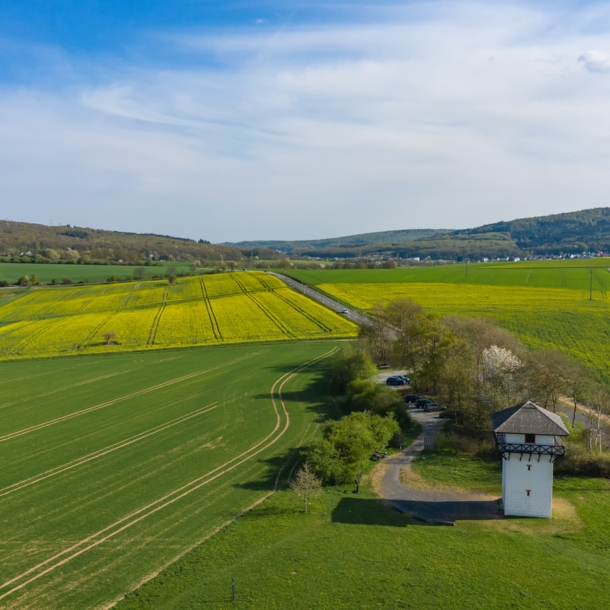 Blick auf eine sommerliche Landschaft mit Feldern