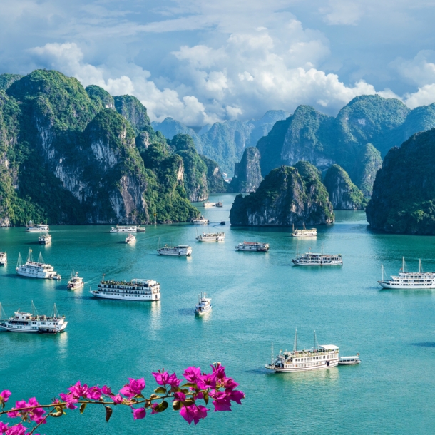 Panorama des Weltwunders der Natur Halong-Bucht mit zahlreichen Booten