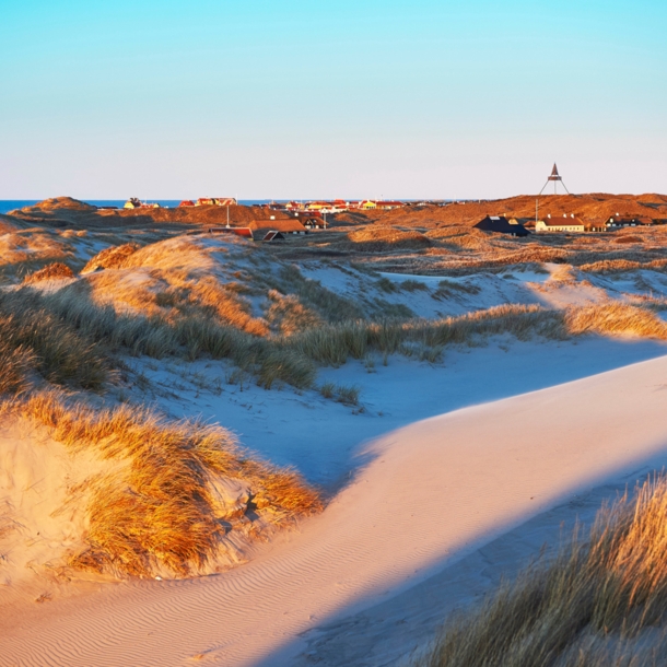 Blick über eine Dünenlandschaft in der Abendsonne