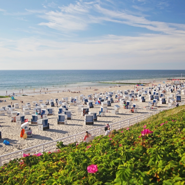 Panoramablick auf einen breiten Sandstrand mit vielen Strandkörben und einigen Personen von einer begrünten Düne im Vordergrund