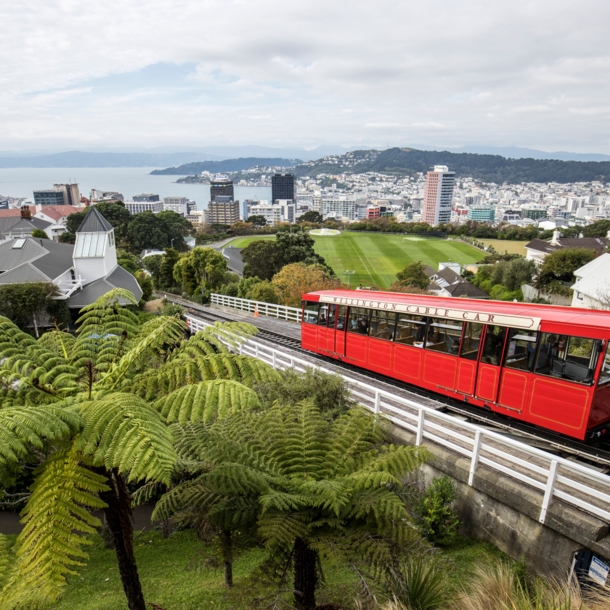 Blick auf Wellington, im Vordergrund eine alte rote Straßenbahn