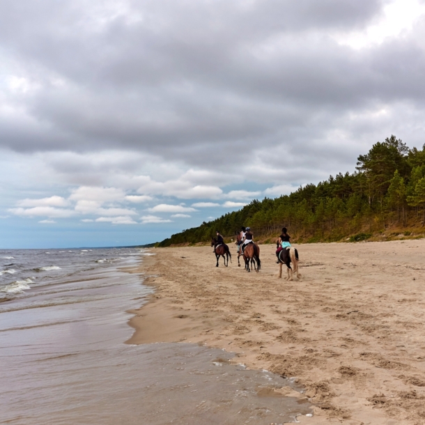 Vier Menschen auf Pferden reiten einen Strand entlang