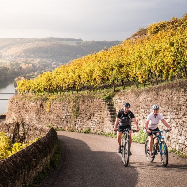 Zwei Radfahrende fahren auf einem asphaltierten Weg einen Weinberg oberhalb eines Flusstals hinauf