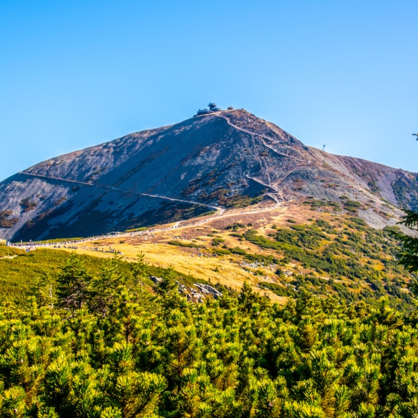 Flacher Berggipfel mit Waldfläche im Vordergrund.