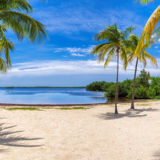 Weißer Sandstrand mit Palmen am türkisblauen Meer unter blauem Himmel.