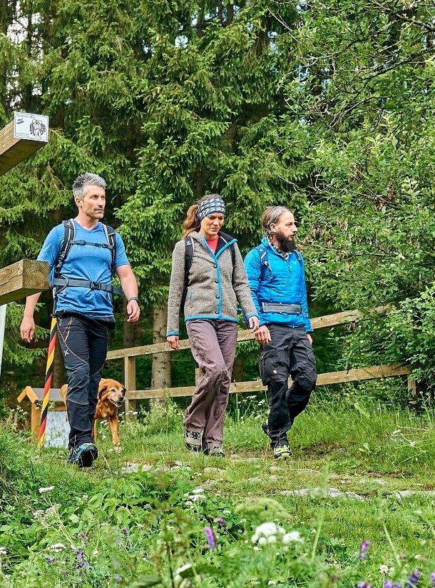 Drei Wandernde und ein Hund laufen über eine Brücke im Grünen