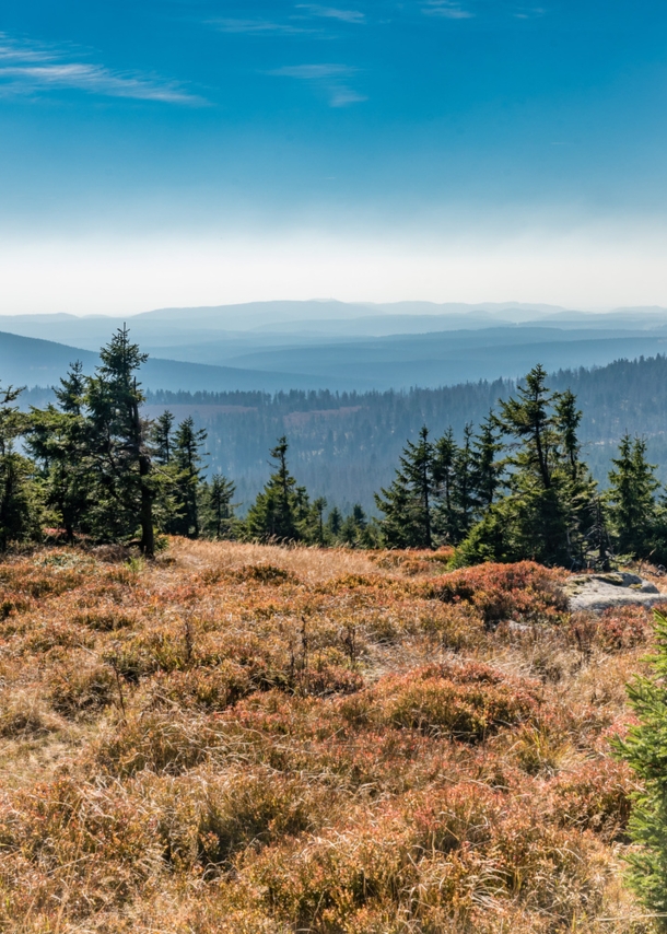 Harzlandschaft, der Brocken