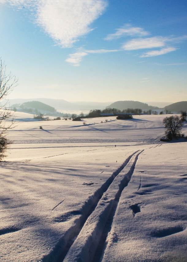 Eine Langlauf-Loipe mit weitem Blick in die ebene Landschaft.