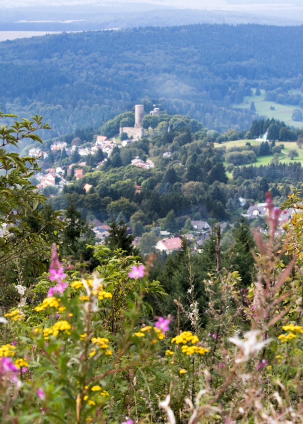 Die Burg Reifenberg aus der Ferne.