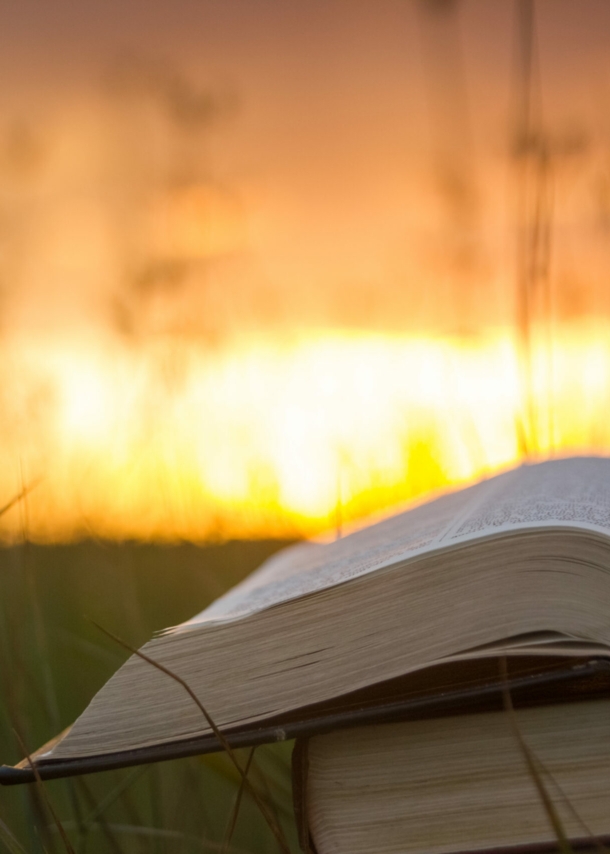 Bücher im Gras vor Sonnenaufgang