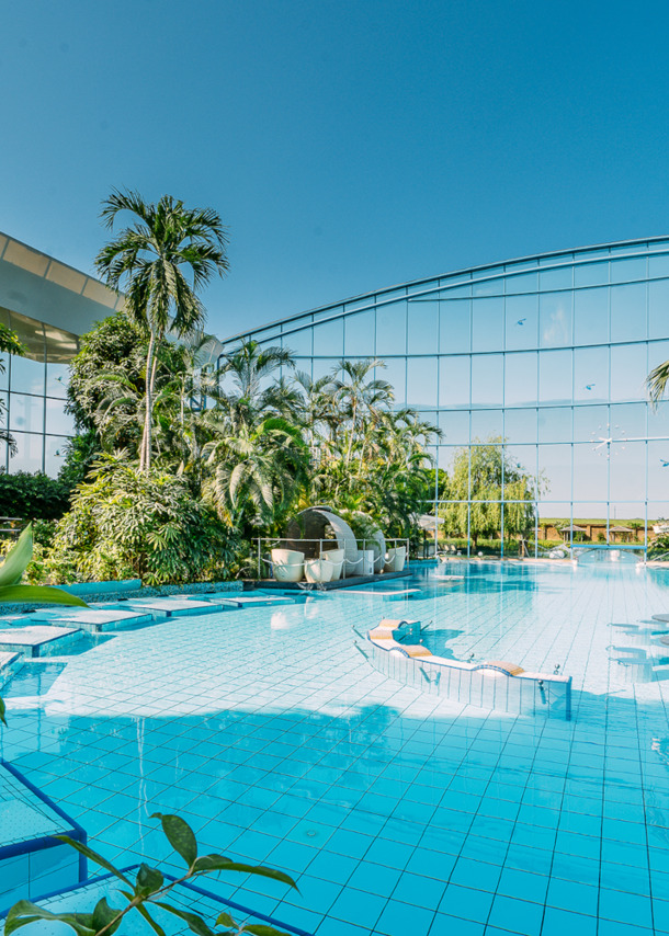 Eine von tropischen Pflanzen umgebene Outdoor-Poollandschaft vor einem verspiegeltem Gebäudekomplex