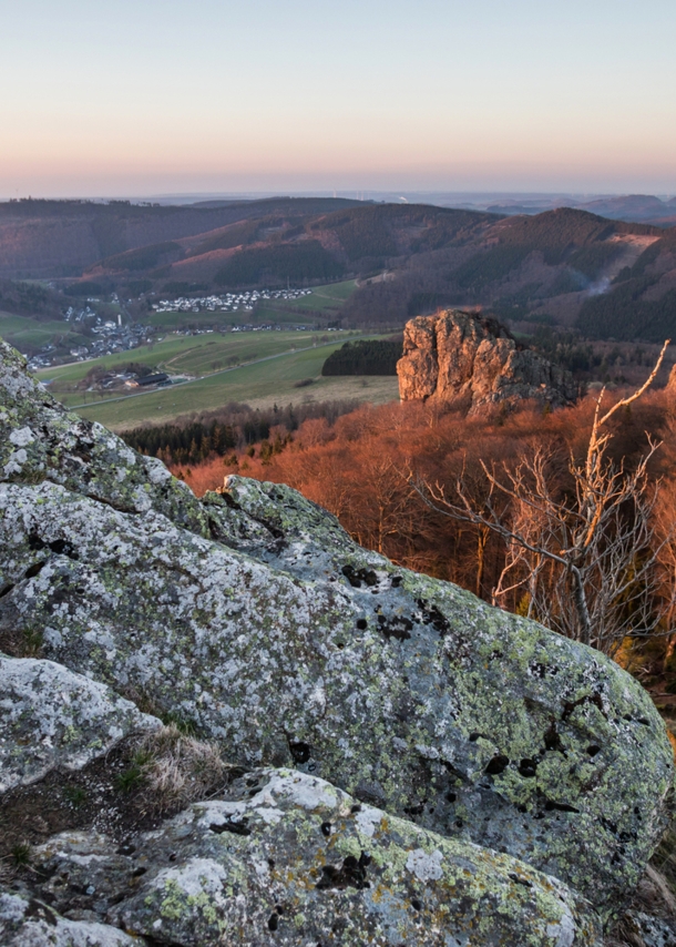 Die Bruchhauser Steine.