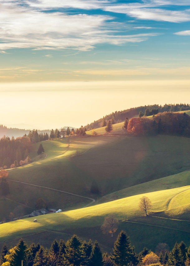 Blick über den Schwarzwald.