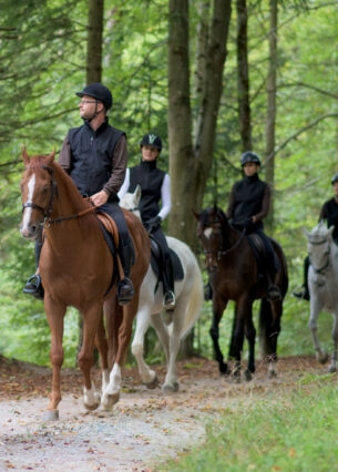 Eine Gruppe von reitenden Personen auf einem Waldweg