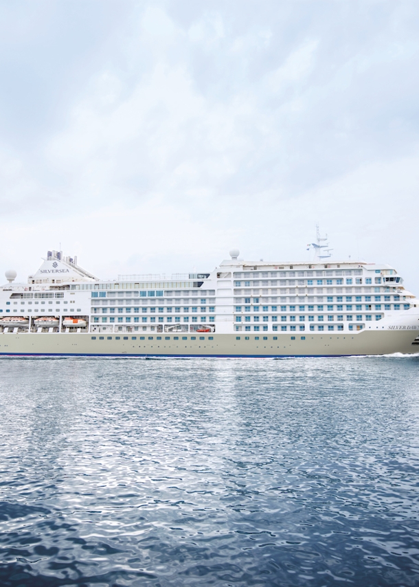 Kreuzfahrtschiff auf dem Meer