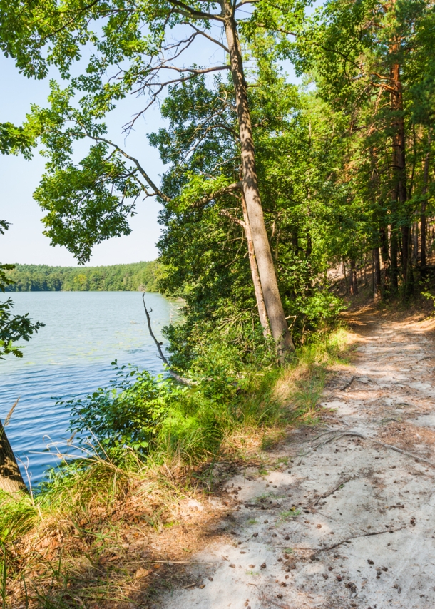 Sandiger Wanderweg neben einem Gewässer.