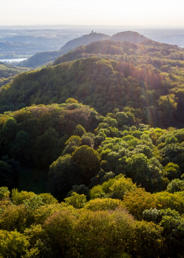 Blick auf das Siebengebirge nahe Bonn