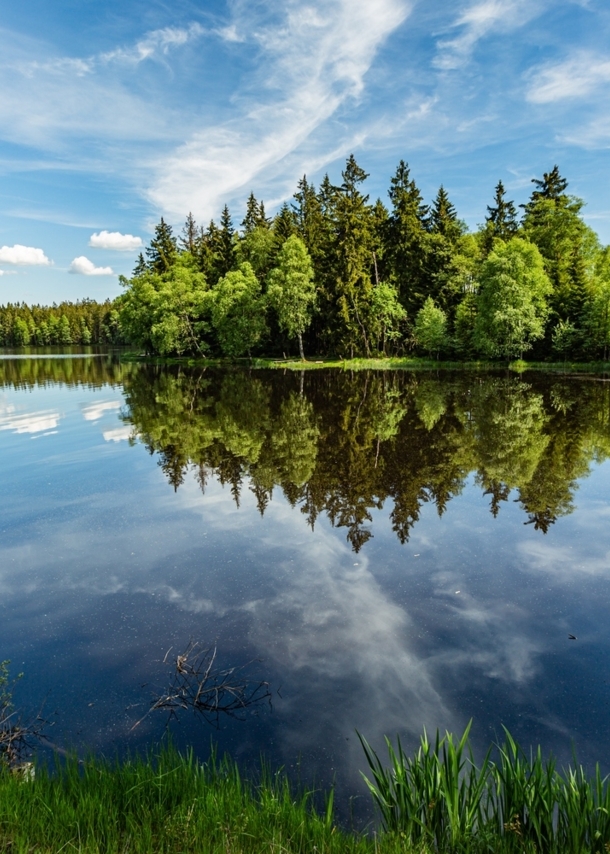 Ein See, von Nadelbäumen gesäumt