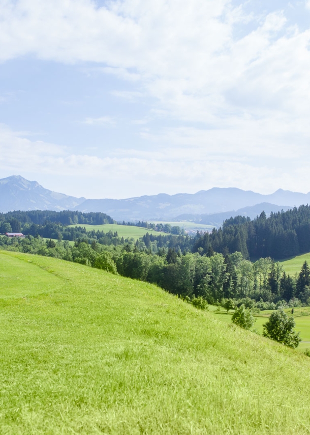 Golfspieler vor Alpenpanorama