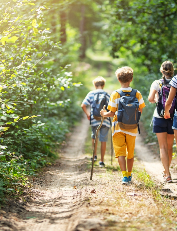 Familie von hinten beim Wandern durch den Wald