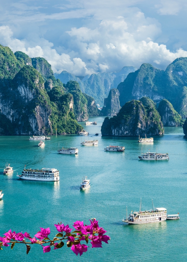 Panorama des Weltwunders der Natur Halong-Bucht mit zahlreichen Booten