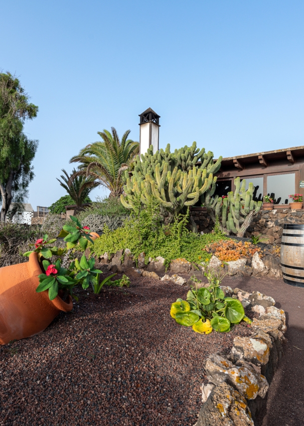 Zugang zu einem Restaurant durch einen mediterranen Garten mit Kakteen