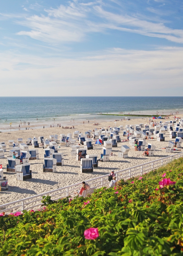 Panoramablick auf einen breiten Sandstrand mit vielen Strandkörben und einigen Personen von einer begrünten Düne im Vordergrund