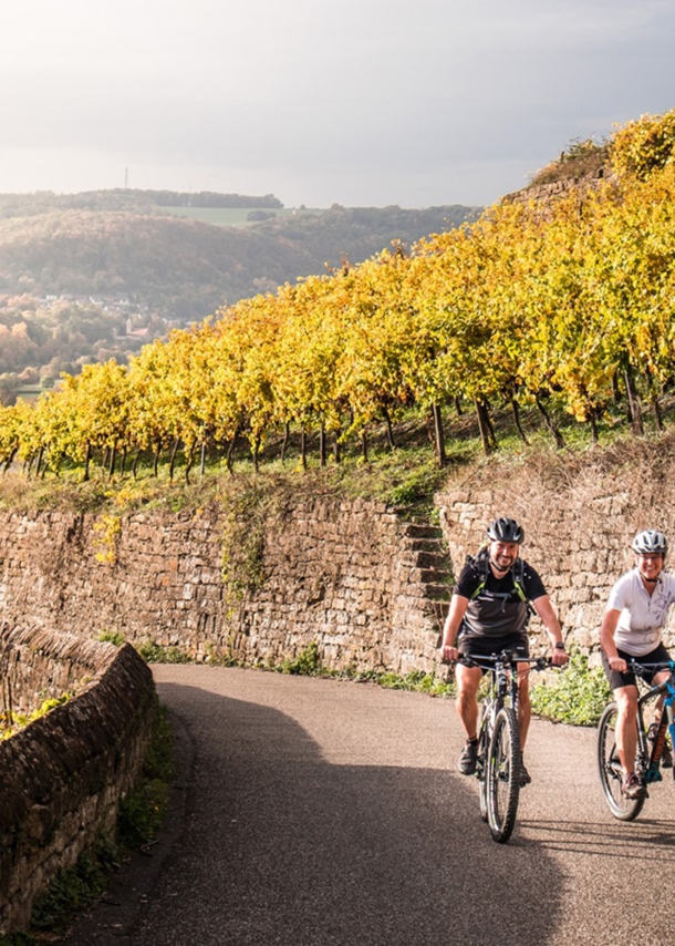 Zwei Radfahrende fahren auf einem asphaltierten Weg einen Weinberg oberhalb eines Flusstals hinauf