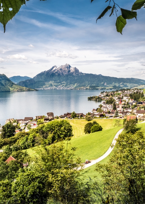 Der Vierwaldstättersee mit Ortschaft, umgeben von Grünflächen, im Hintergrund Bergpanorama.