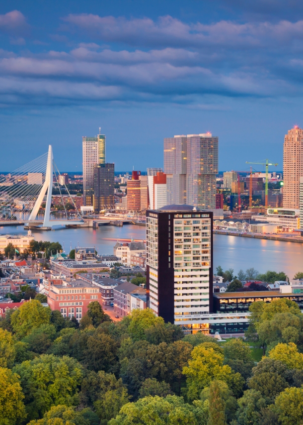 Blick von oben auf eine Stadt in der Dämmerung. Im Vordergrund sind Bäume zu sehen, im Hintergrund moderne Hochhäuser und eine Brücke über einem Fluss.