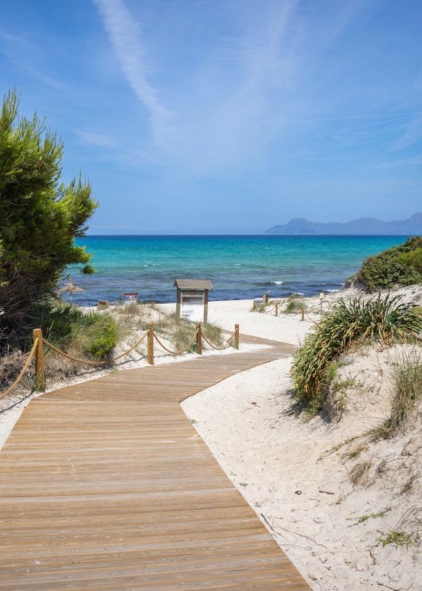 Ein Holzsteg führt durch Dünen zu einem Sandstrand am türkisblauen Meer.